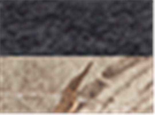 Swatch for Charcoal Realtree Xtra