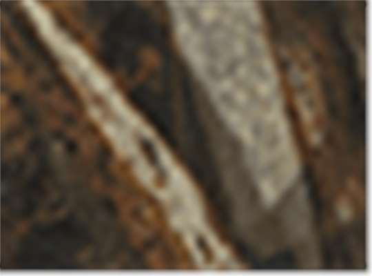Swatch for Realtree Max 5