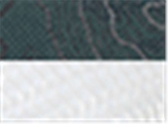Swatch for Forest