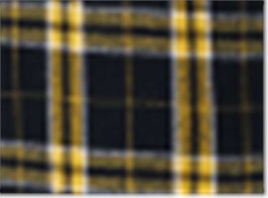 Swatch for Black/ Gold