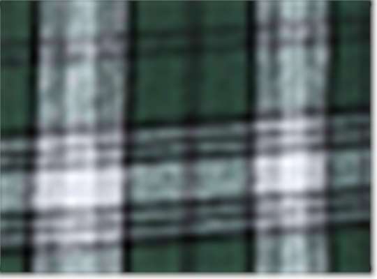 Swatch for Green/ White