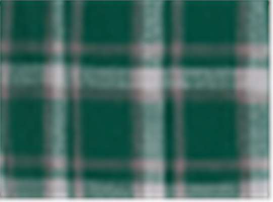Swatch for Heritage Hunter Plaid