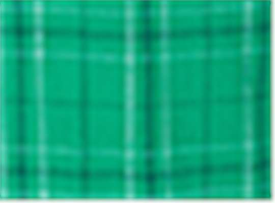 Swatch for Kelly Field Day Plaid