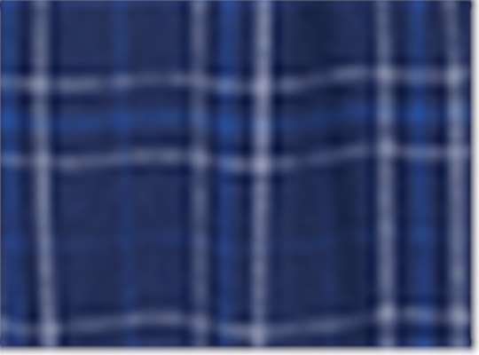 Swatch for Navy Field Day Plaid