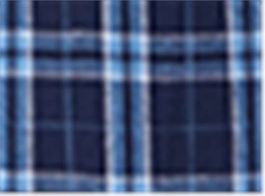 Swatch for Navy/ Columbia