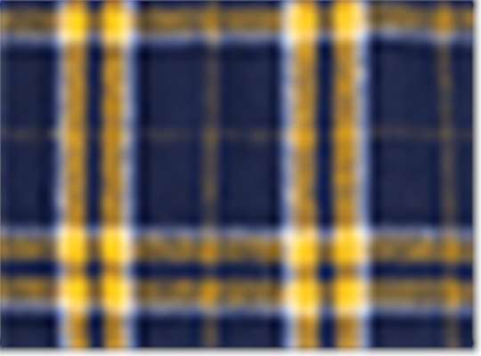 Swatch for Navy/ Gold