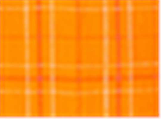 Swatch for Orange Field Day Plaid