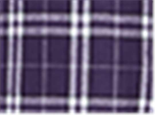 Swatch for Purple/ White