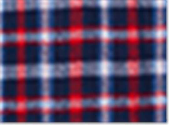 Swatch for Red Blue Plaid