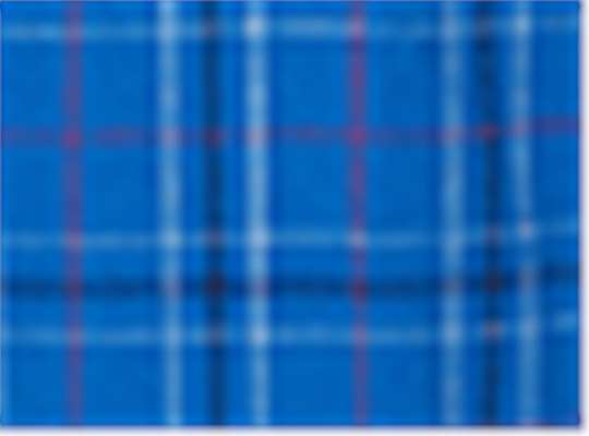 Swatch for Royal Field Day Plaid