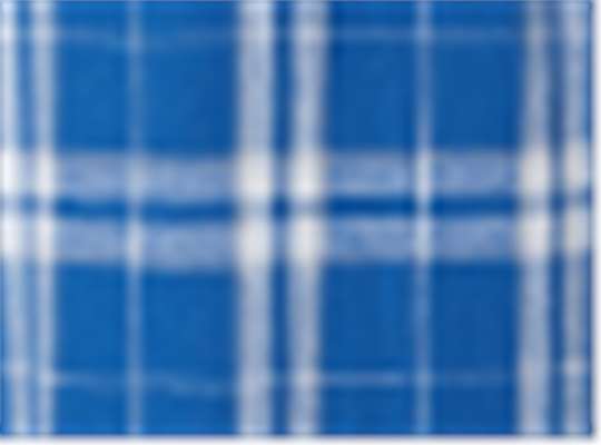 Swatch for Royal/ Silver
