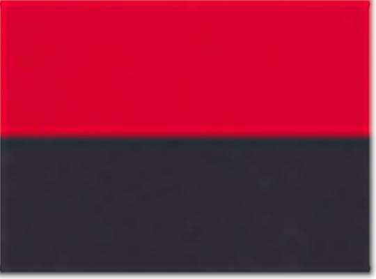 Swatch for Red/ Black