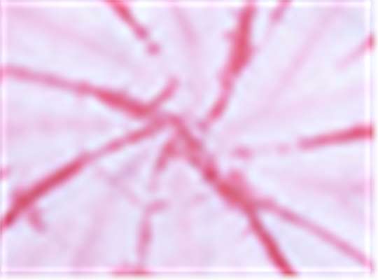 Swatch for Rose