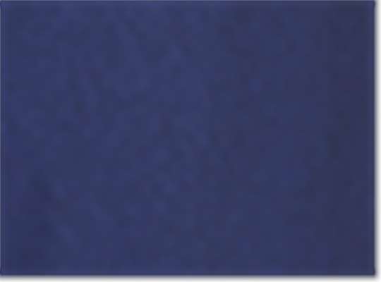 Swatch for Navy
