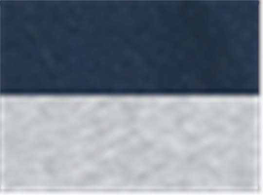 Swatch for Navy/ Oxford