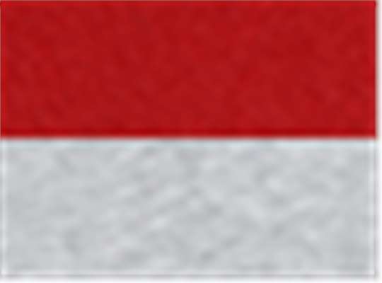 Swatch for Red/ Oxford