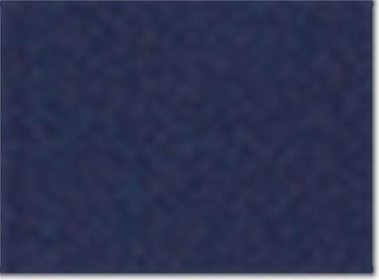 Swatch for True Navy