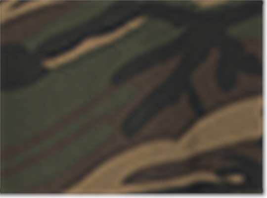 Swatch for Camo
