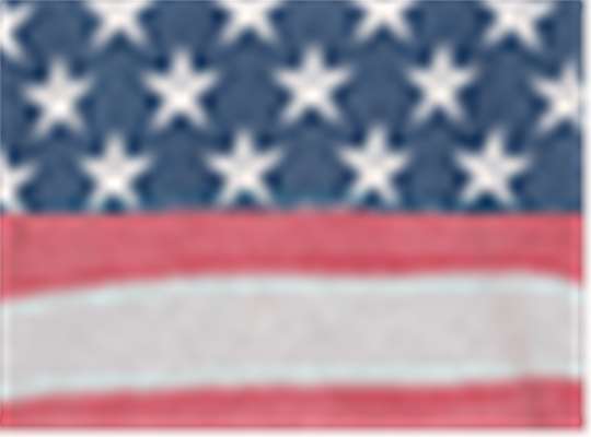 Swatch for Stars & Stripes