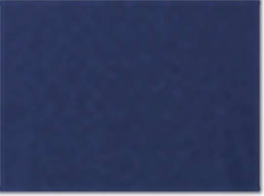 Swatch for Navy
