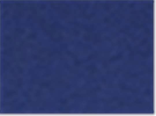 Swatch for Navy