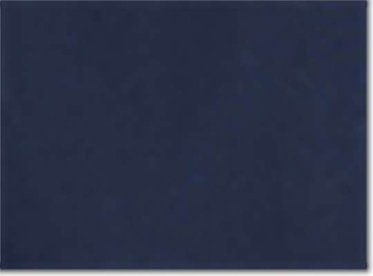 Swatch for Navy