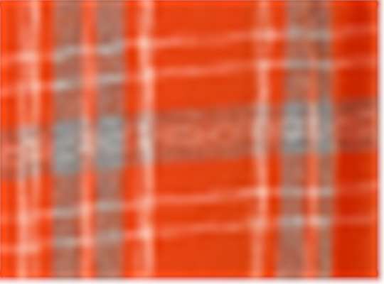 Swatch for Burnt Orange Kingston