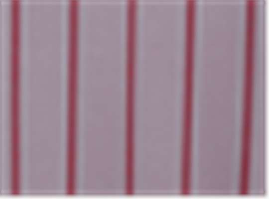 Swatch for Grey/ Red