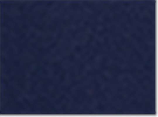 Swatch for Collegiate Navy