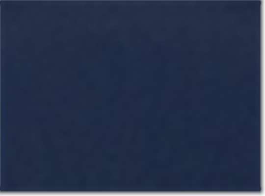Swatch for Collegiate Navy
