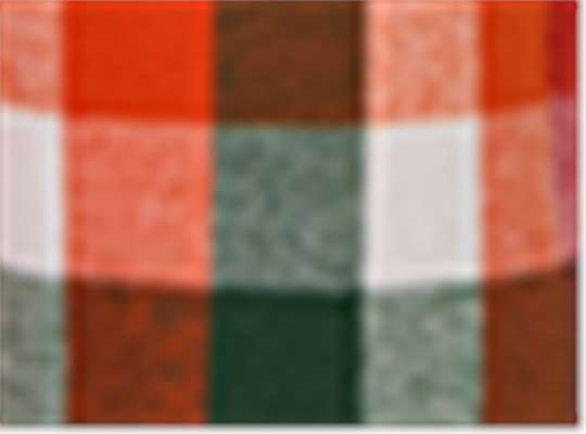 Swatch for Autumn Buffalo Check