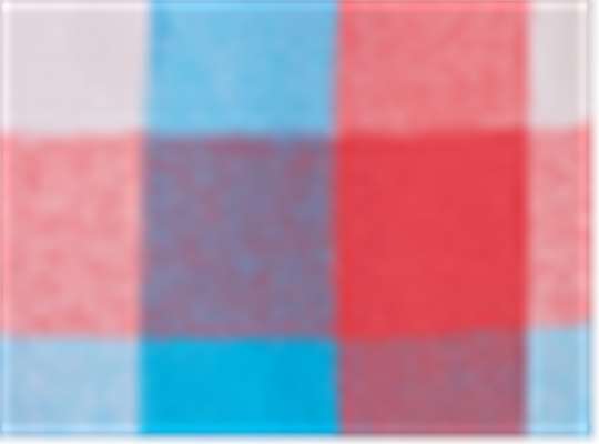 Swatch for Paradise Buffalo Check