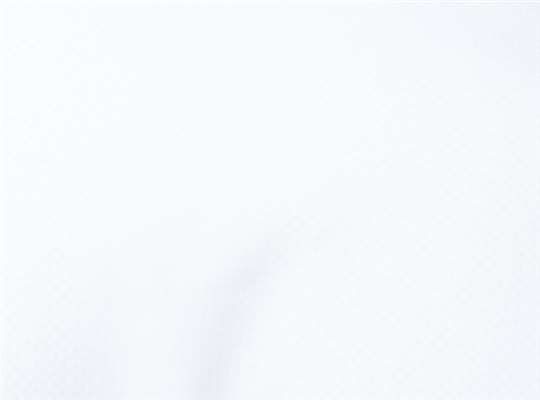 Swatch for White