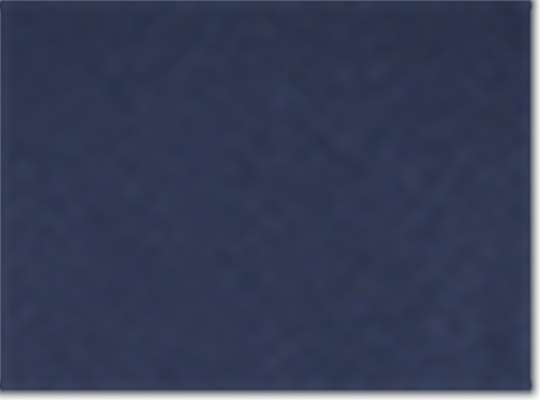 Swatch for Navy