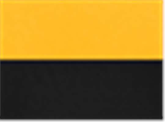 Swatch for Gold/ Black