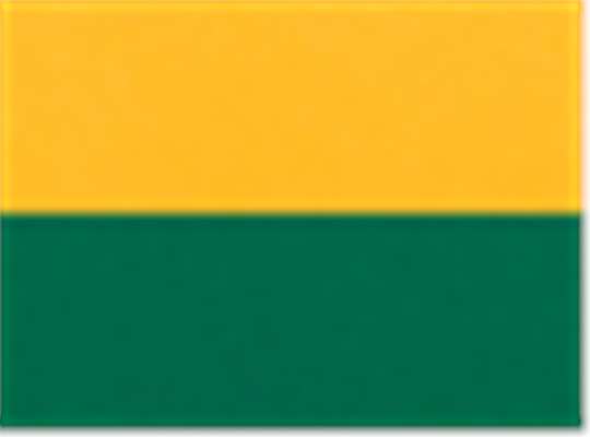Swatch for Gold/ Dark Green
