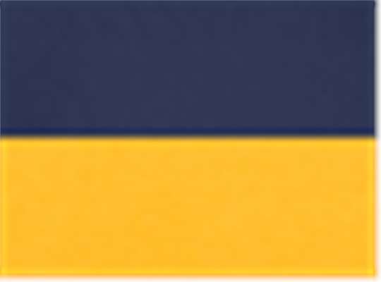 Swatch for Navy/ Gold