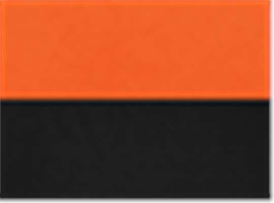 Swatch for Orange/ Black