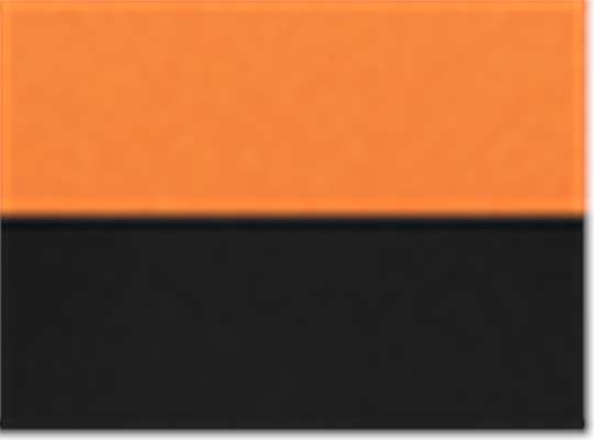 Swatch for Power Orange/ Black