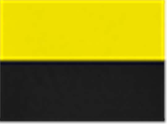 Swatch for Power Yellow/ Black