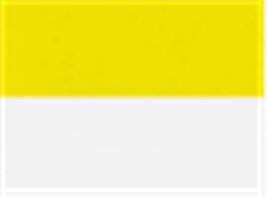 Swatch for Power Yellow/ White