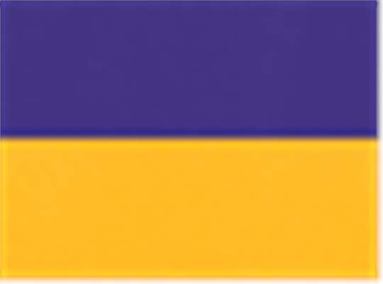Swatch for Purple/ Gold