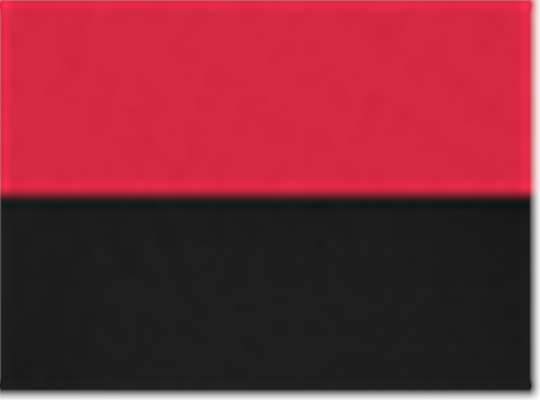 Swatch for Red/ Black