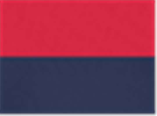 Swatch for Red/ Navy