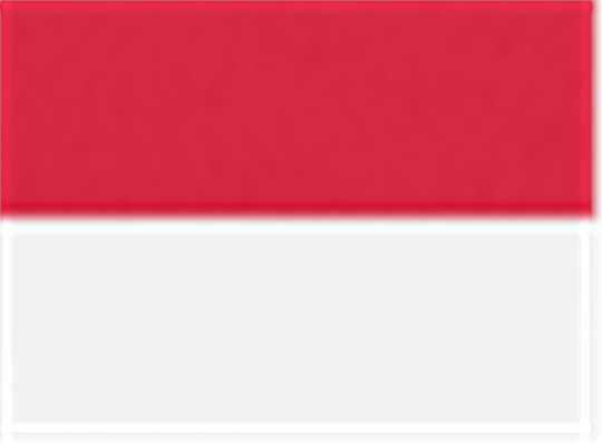 Swatch for Red/ White