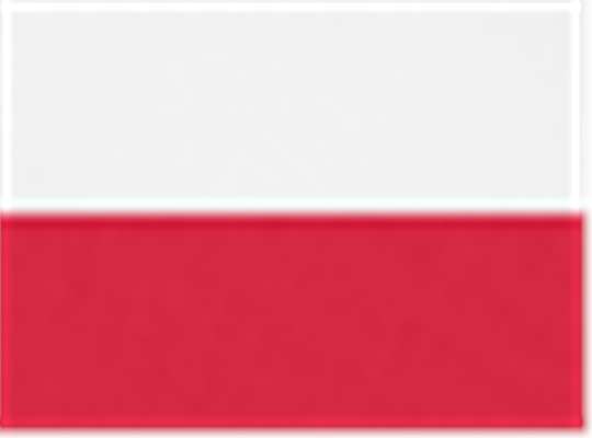Swatch for White/ Red