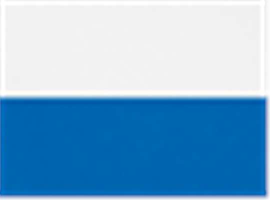 Swatch for White/ Royal