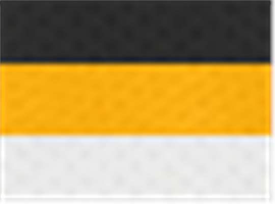Swatch for Black/ Gold/ White