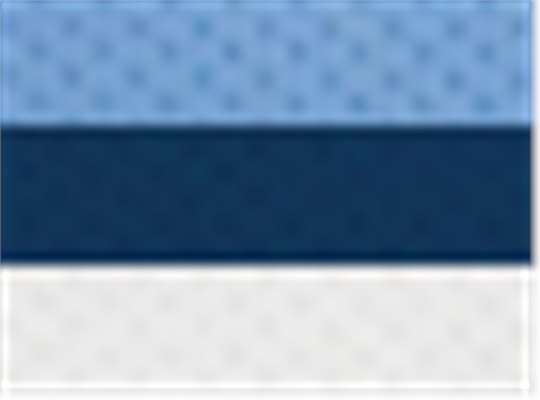 Swatch for Columbia Blue/ Navy/ White