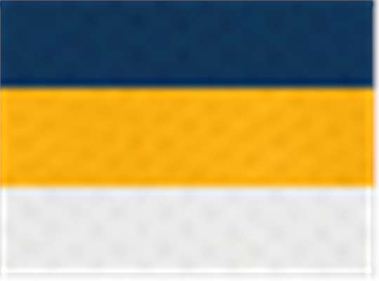 Swatch for Navy/ Gold/ White
